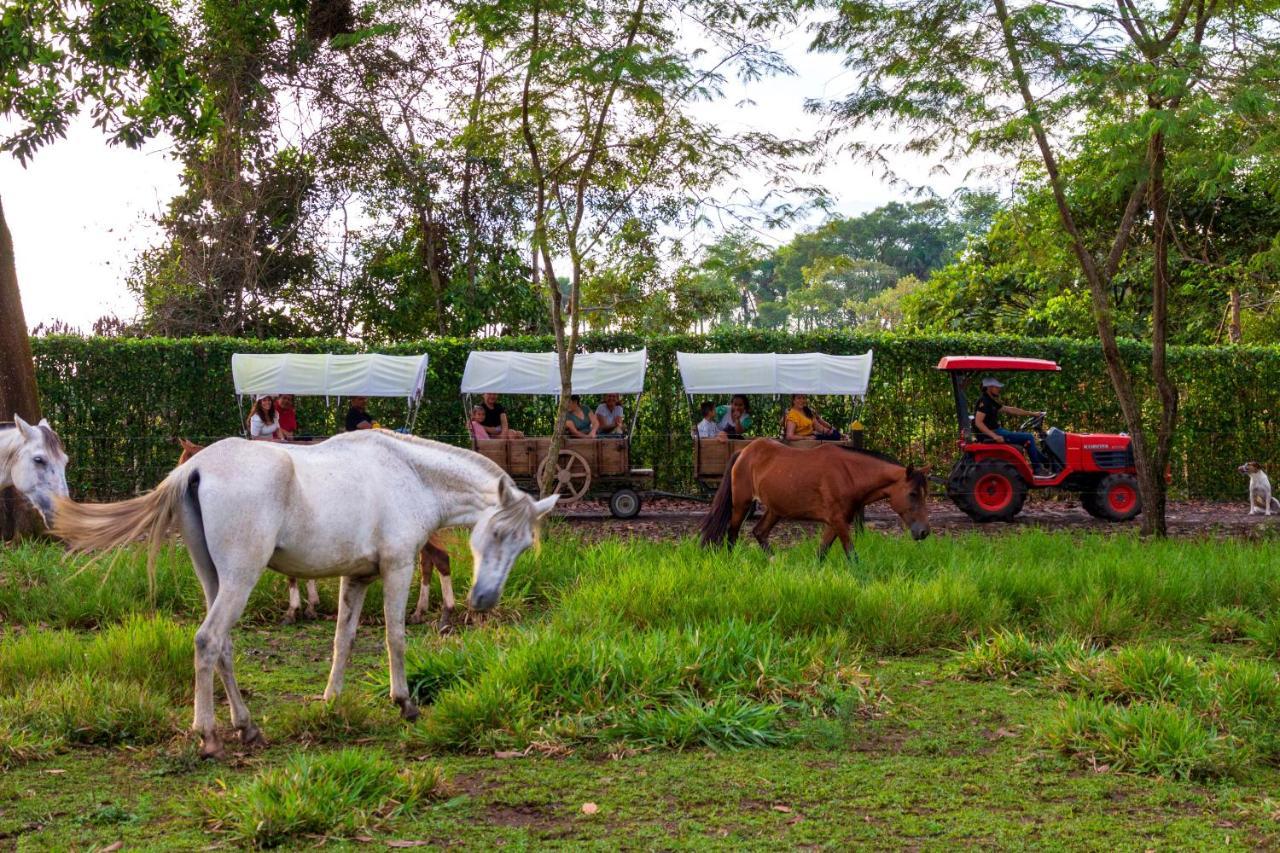 Hotel Campestre La Potra Apiay Exterior photo